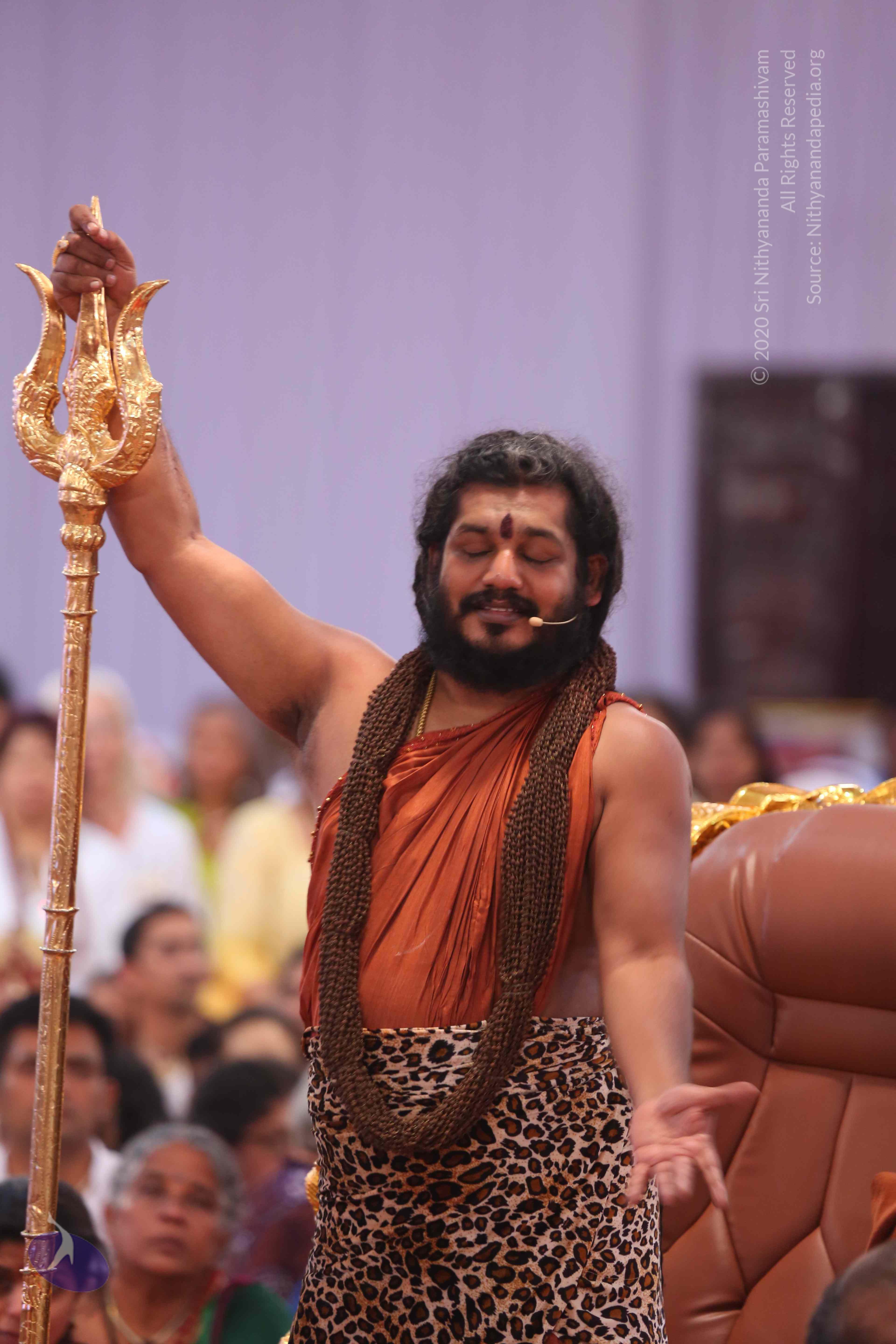 20161204_Photo_1151_IMGL5629_CMP_WM